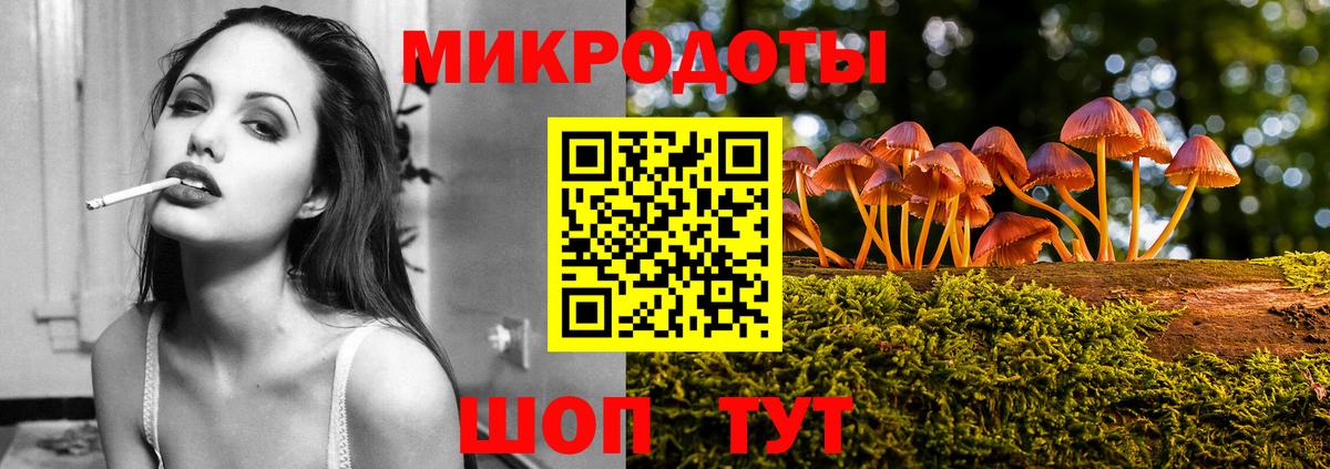 Псилоцибиновые грибы Cubensis Куйбышев
